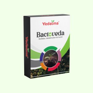 Bactoveda