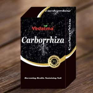Carborrhiza