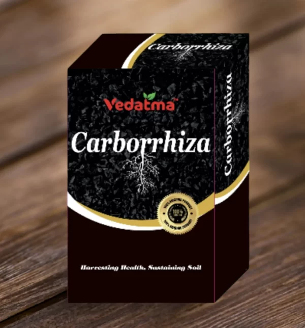 Carborrhiza