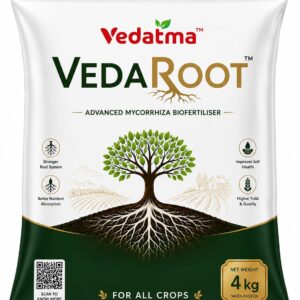 Vedaroot