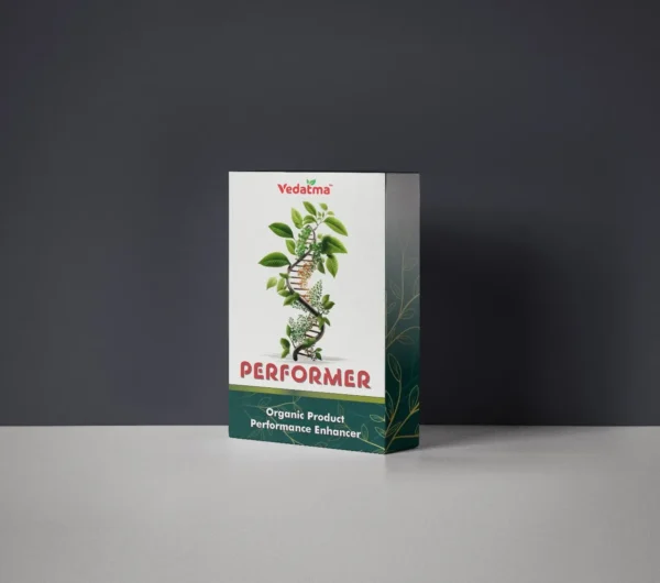 Performer