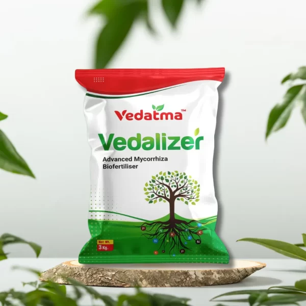 Vedalizer